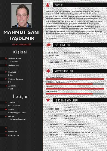 Gıda Mühendisi CV Örnekleri cv indir